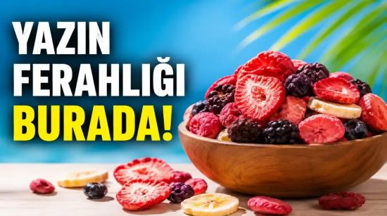 Yazın Ferahlığı Pol’s Freeze Fresh ile Geliyor