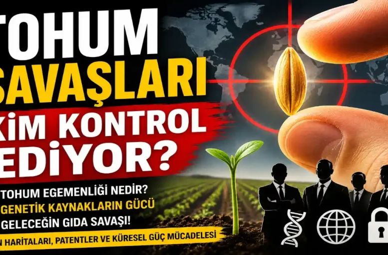 Tohumların Sessiz Savaşı: Dünyayı Kim Besleyecek?