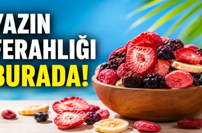 Yazın Ferahlığı Pol’s Freeze Fresh ile Geliyor