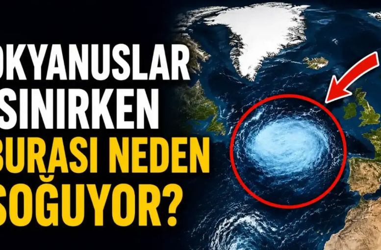 AMOC Zayıflarsa Ne Olur? Okyanustaki Soğuk Lekenin Anlattığı Büyük Risk