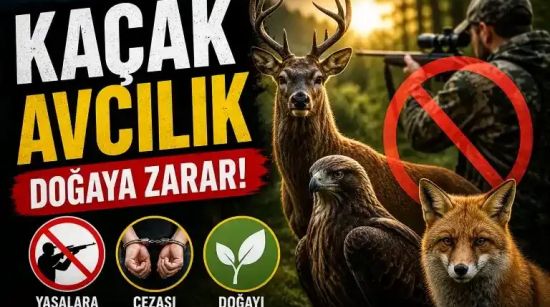 Avcılıkta Kurallar: Yasaklar, Cezalar ve Koruma Politikaları