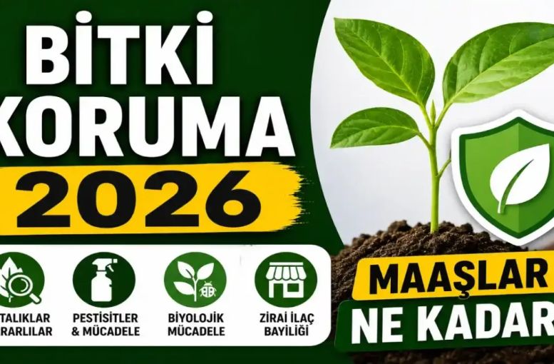 Bitki Koruma 2026 Taban Puanları Ve Başarı Sıralamaları: Zirai İlaç Bayiliği, İş Olanakları Ve Maaşlar