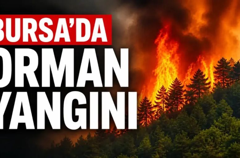 Bursa Osmangazi’de Yangın Ormana Sıçradı: Ekipler Seferber Oldu