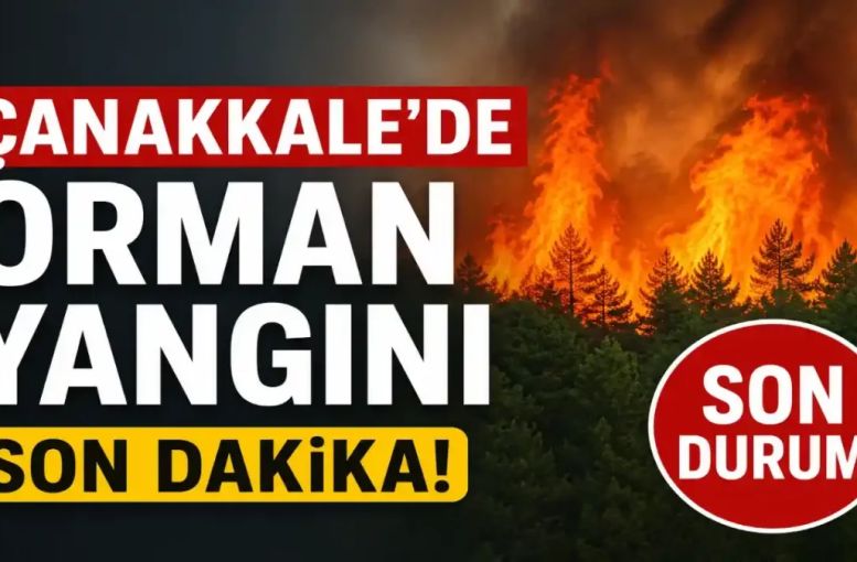 Çanakkale Ayvacık’ta Orman Yangını: Büyükhusun’da Soğutma Çalışmaları Sürüyor