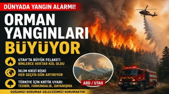 Dünyada Orman Yangını Tehlikesi Büyüyor: Utah’ta Binlerce Hektar Kül Oldu