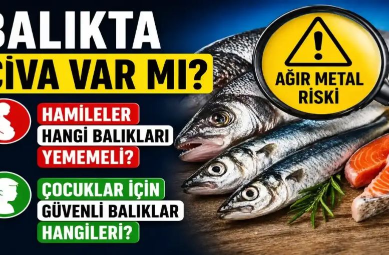 Hamileler ve Çocuklar Hangi Balıkları Tüketmeli? Cıva Tartışması Büyüyor