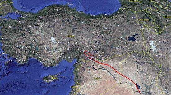 Kelaynakların Göç Yolculuğu Takip Altında: Umut ve Sıla’ya Uydu Vericisi Takıldı