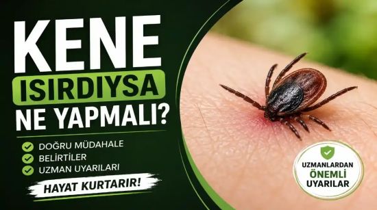 Kene Isırığında Ne Yapılmalı? Uzmanlardan Hayat Kurtaran Uyarılar