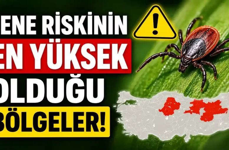 Kene Riskinin En Yüksek Olduğu Bölgeler: Uzmanlar Yaz Ayları İçin Kritik Uyarılar Yapıyor
