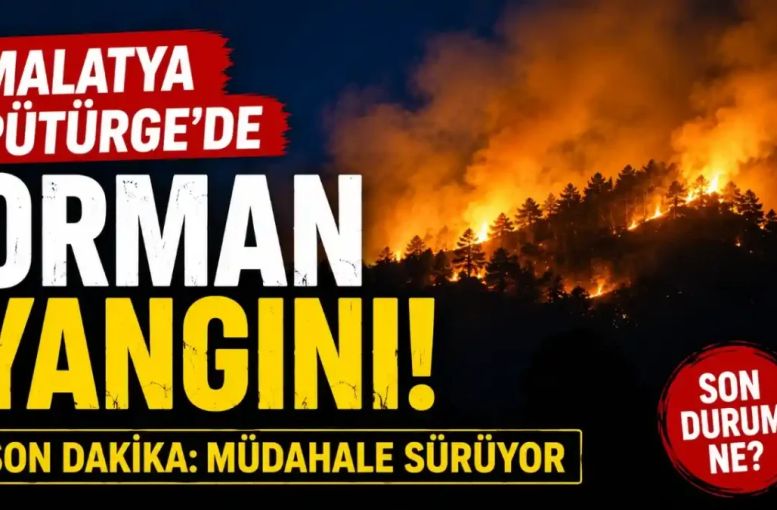 Malatya Pütürge Orman Yangınında Son Durum: Müdahale Gece Boyunca Sürüyor