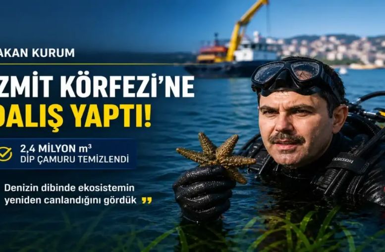 Marmara İçin Kritik Temizlik: İzmit Körfezi’nde Deniz Çayırları ve Canlı Türleri Geri Döndü