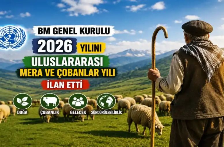Meralar Yok Olursa Ne Olur? 2026 Uluslararası Mera ve Çobanlar Yılı’nın Anlamı