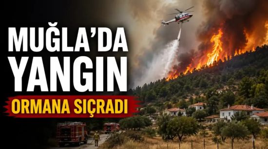 Muğla Menteşe’de Yangın Ormana Sıçradı: 14 Hava Aracıyla Müdahale Edildi