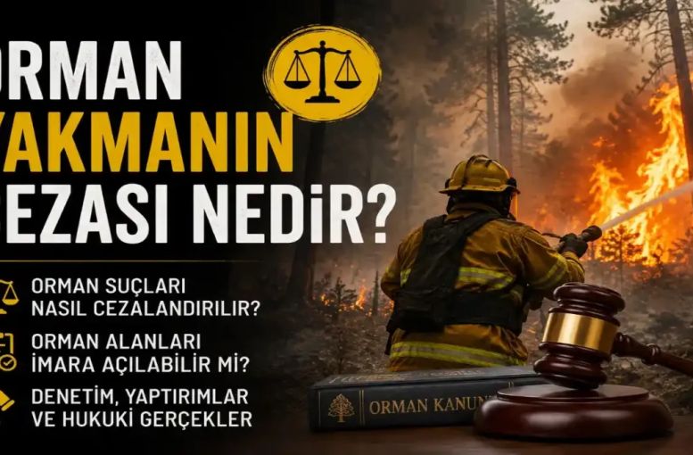 Orman Yakmanın Cezası Nedir? Orman Suçları ve İmar Gerçeği