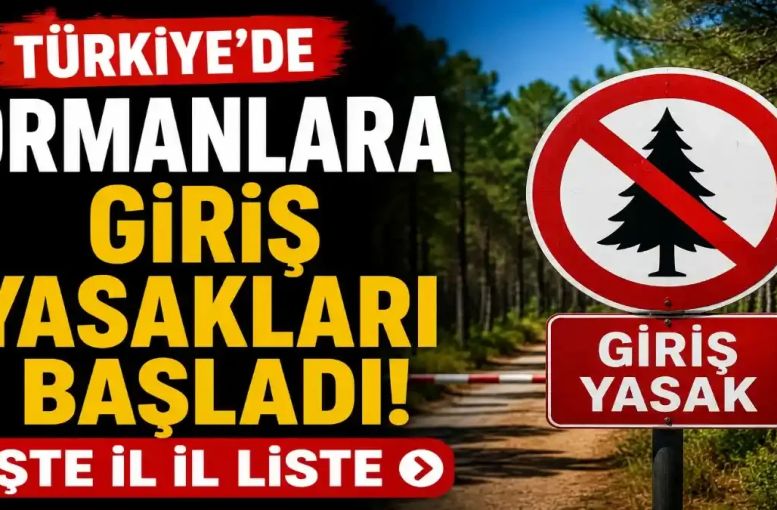 Orman Yangını Riskine Karşı Yeni Tedbirler: Hangi İllerde Yasak Var?