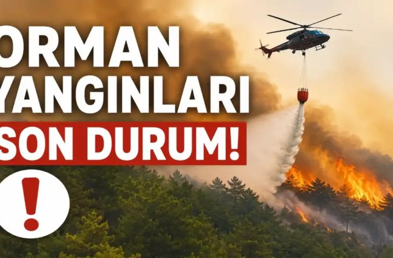 Orman Yangınlarında Son Durum: Bursa, Bilecik Ve Aydın’da Ekipler Teyakkuzda