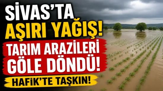 Sivas’ta Aşırı Yağış Alarmı! Hafik’te Tarım Arazileri Sular Altında Kaldı