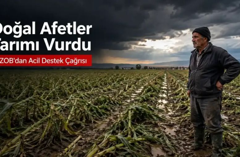 TZOB’dan Hükümete Acil Destek Çağrısı: Çiftçinin Borcu Yapılandırılsın