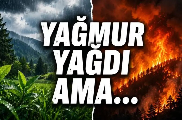 Uzmanlardan Kritik Uyarı: Son 66 Yılın Yağışı Orman Yangını Riskini Azaltmayabilir