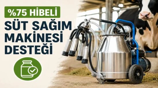 Yüzde 75 Hibeli Süt Sağım Makinesi Desteği Başladı: Son Başvuru 22 Temmuz