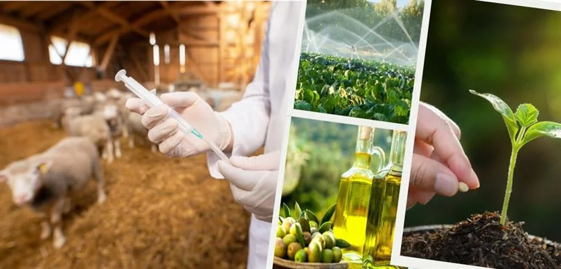 712 Milyon Liralık Tarımsal Destek Ödemesi Çiftçilerin Hesaplarına Aktarıldı