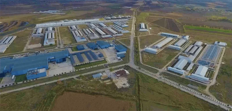 Amasya Suluova Besi OTB, Kırmızı Et Üretimine ve İstihdama Katkı Sağlıyor