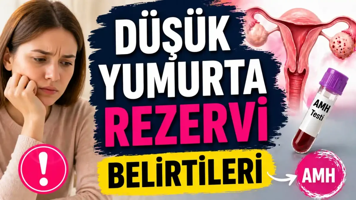 AMH Düşüklüğü Nedir? Belirtiler, Nedenler ve Gebelik Şansı
