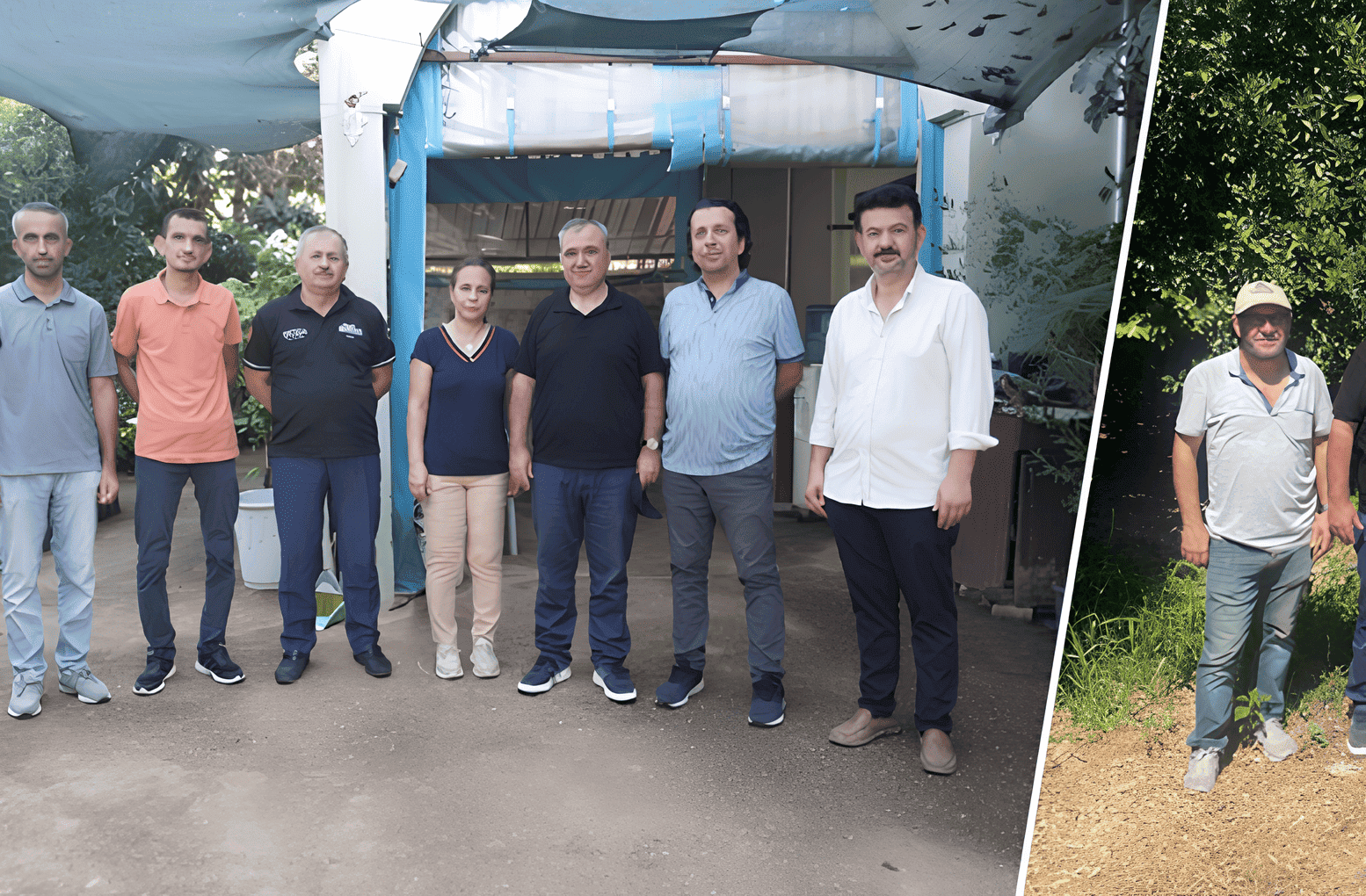Antalya’da Turunçgil Hastalık ve Zararlılarıyla Mücadele Çalışmaları Yerinde İncelendi