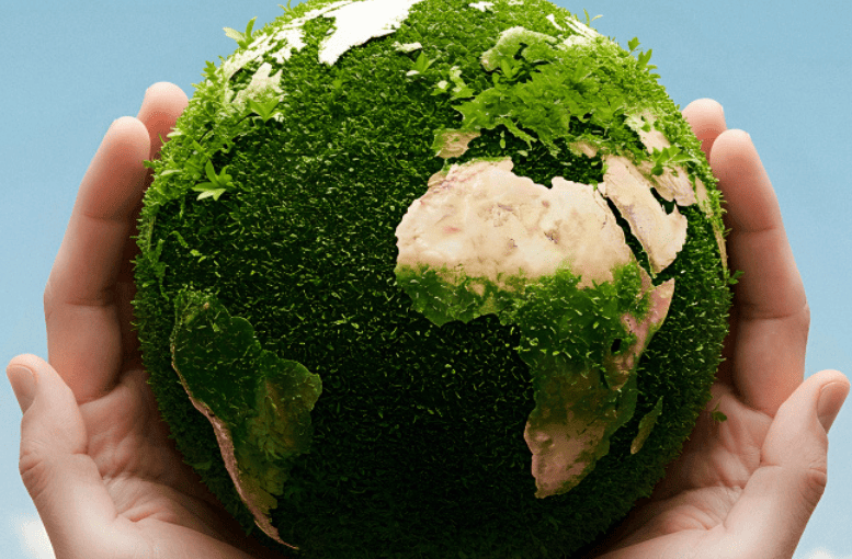 Ardahan Fen Lisesi Öğrencilerinden Çevre İçin Anlamlı Etkinlik