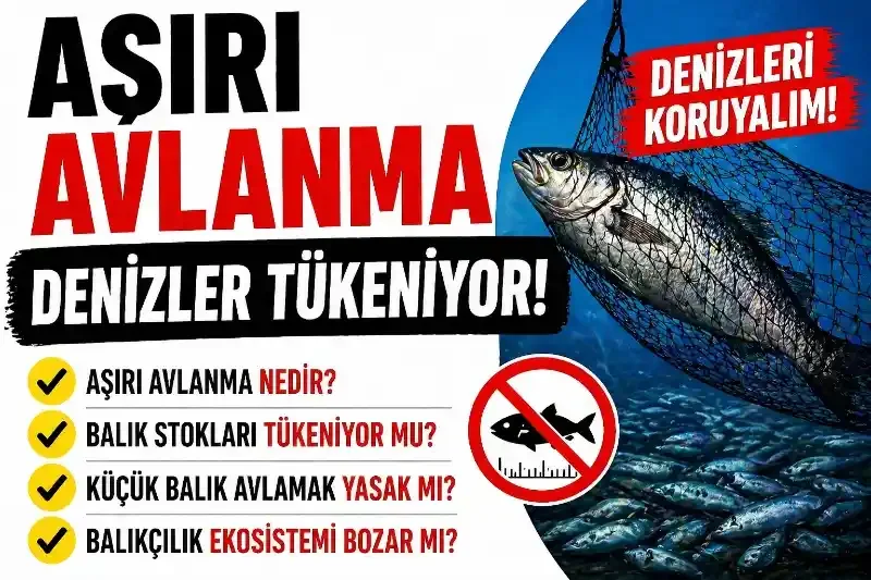 Aşırı Avlanma Alarmı: Denizler Tükeniyor mu?