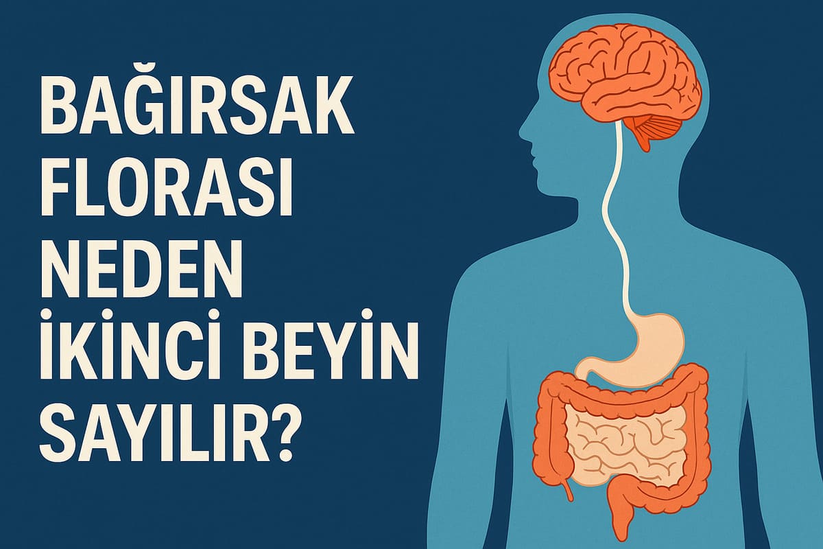 Bağırsak Florası Neden “İkinci Beyin” Olarak Bilinir?
