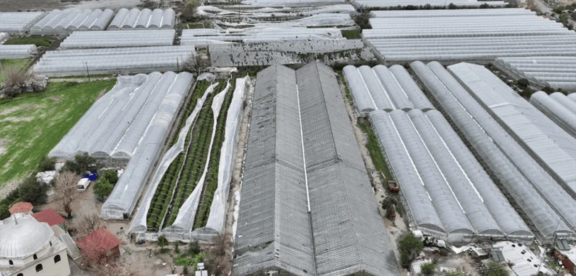 Bakan Yumaklı’dan Antalya’daki Sel ve Hortumdan Etkilenen Üreticilere Açıklama