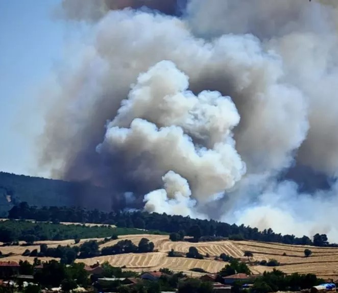 Balıkesir, İzmir ve Edirne'de Orman Yangınları: Müdahale Sürüyor