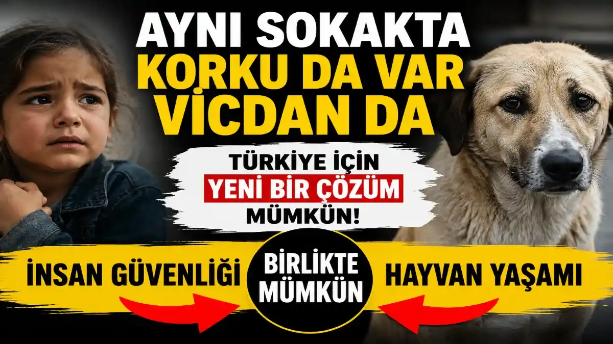 Ben Hayvanları Seven Biriyim… Ama Çocukların Ölümüne de Sessiz Kalamam