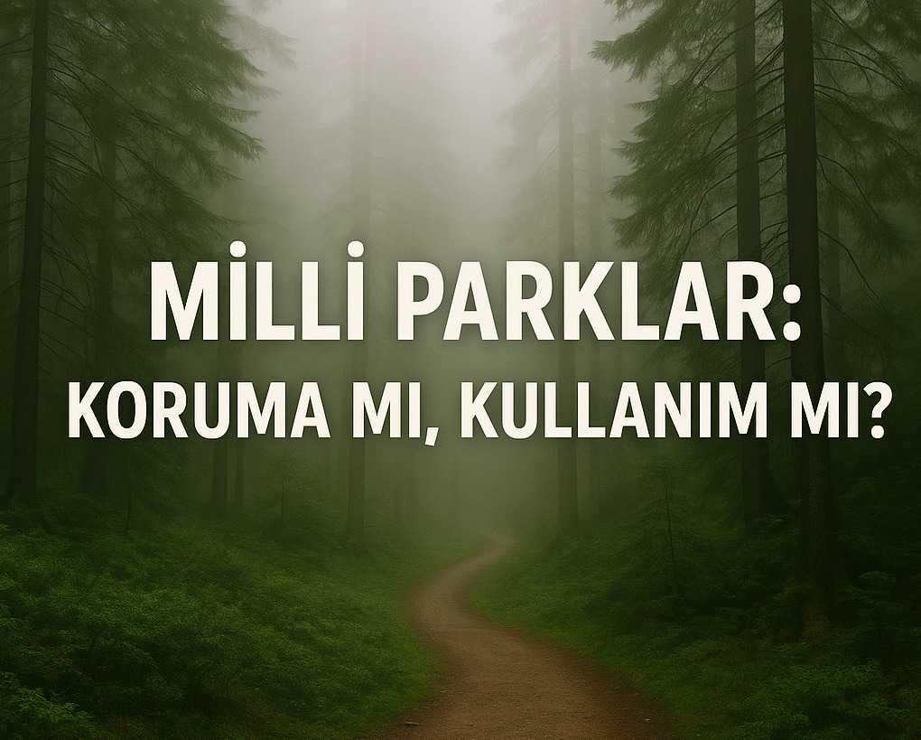 Bir Zamanlar Burada Bir Milli Park Vardı!