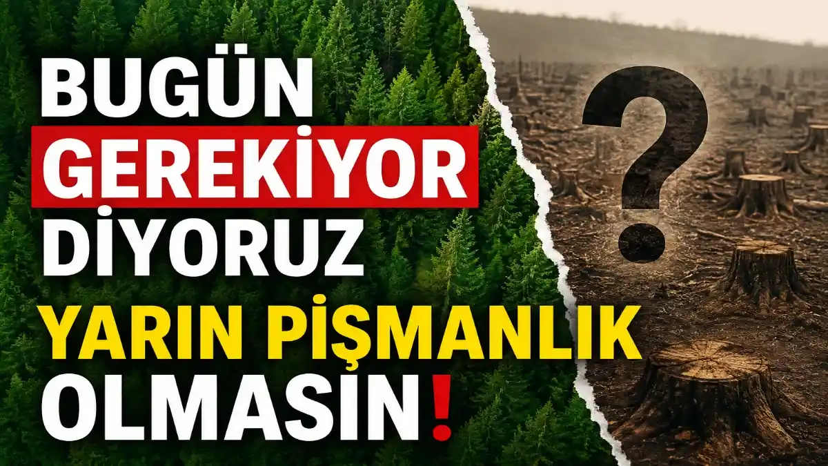 Bugün ''Gerekiyor” Denen Şeyler Yarın Büyük Bir Pişmanlığa Dönüşebilir mi?