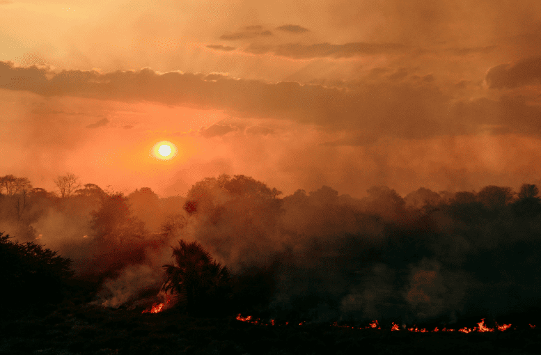 Çanakkale’de Orman Yangınına Havadan ve Karadan Müdahale