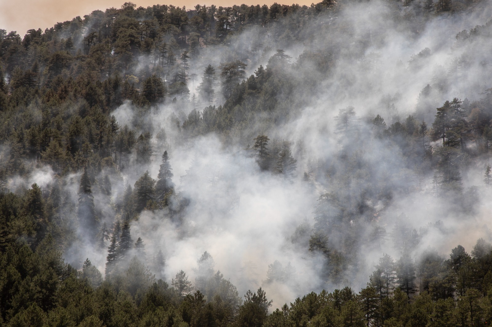 Çanakkale'de Tarım Arazisinde Başlayan Yangın Ormana Sıçradı: Müdahale Sürüyor