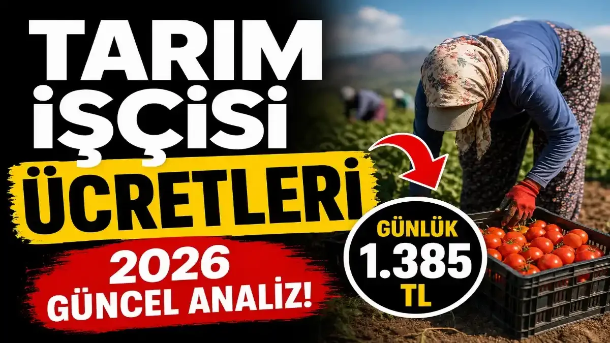 Çaydan Fındığa, Seradan Pamuğa: 2026 Tarım İşçisi Ücretleri Dosyası