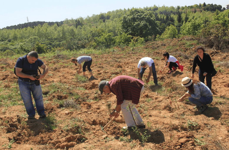 ÇEKÜL’den Kritik Uyarı: Fidan Dikimi Bilinçsizce Yapılmamalı