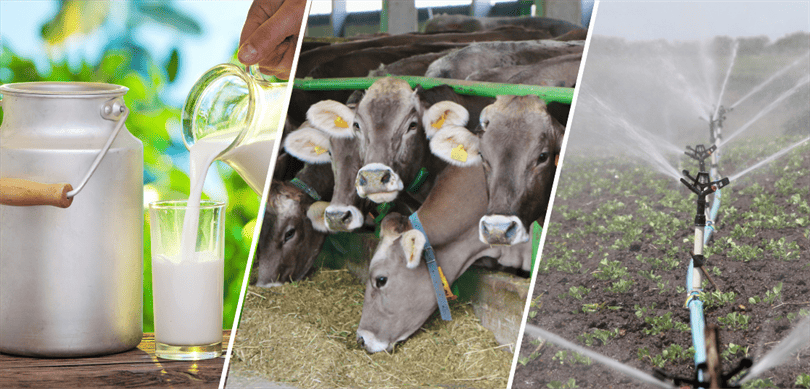 Çiftçilere Müjde: Destekleme Ödemeleri Bugün Hesaplarda