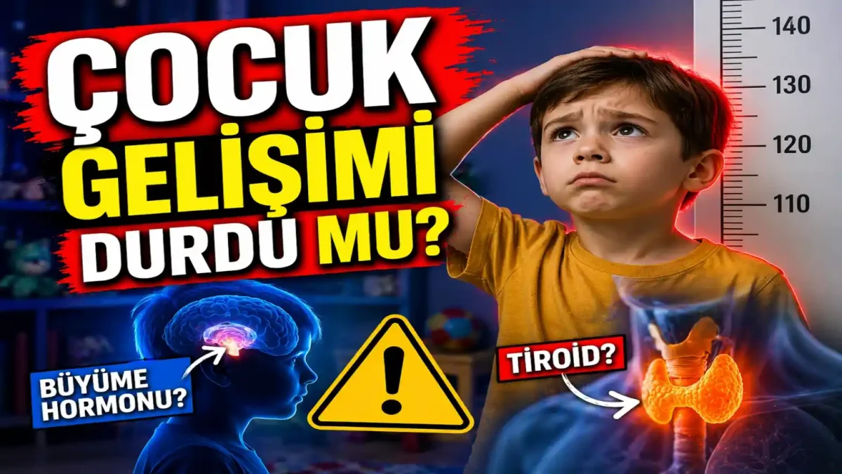 Çocuklarda Tiroid ve Büyüme Hormonu: Gelişimi Etkileyen Kritik Faktörler