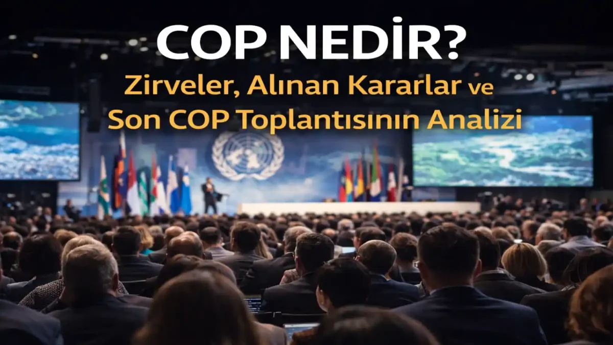 COP Nedir? İklim Zirveleri, Alınan Kararlar ve Son COP Toplantısının Analizi