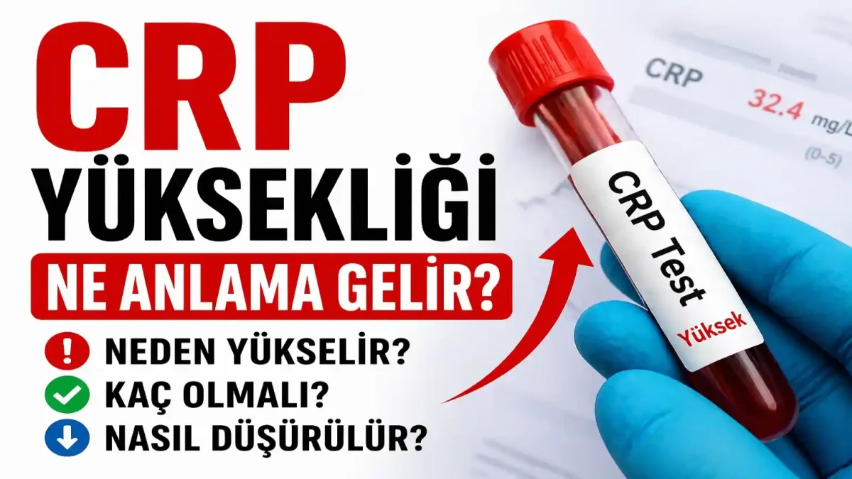 CRP Yüksekliği Nedir, Kaç Olmalı, Neden Yükselir, Nasıl Düşürülür?