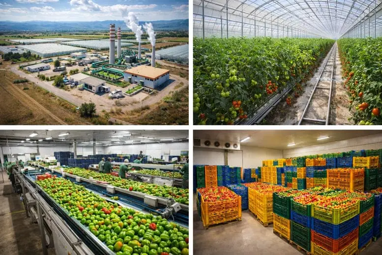 Ege’de Jeotermal Sera Hamlesi: Balıkesir Bigadiç Tarıma Dayalı İhtisas OSB