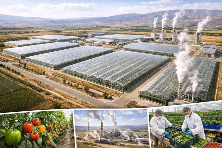 Ege’de Jeotermal Seracılıkta Yeni Merkez: Uşak Banaz Tarıma Dayalı İhtisas Jeotermal Sera OSB