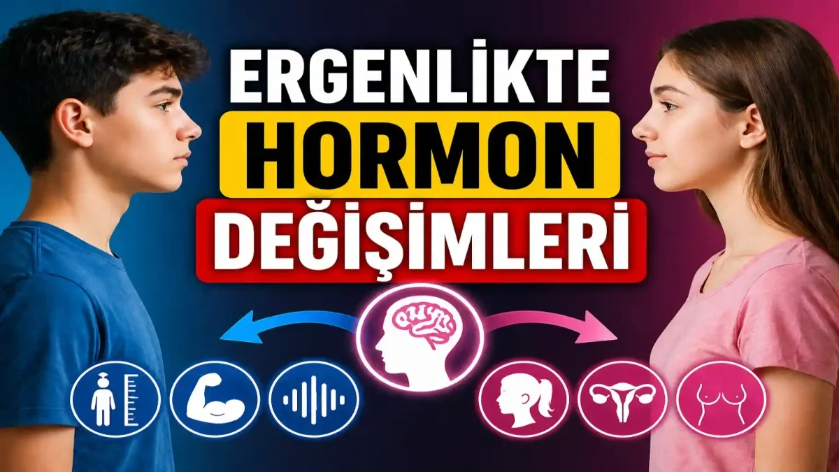 Ergenlik Dönemi: Hormonlar Nasıl Çalışır, Neleri Değiştirir?