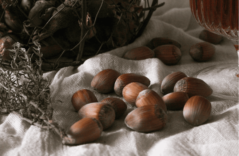 Fındık Tarımı: Türkiye’de Yetiştiricilik, Fide Seçimi ve Dış Pazar Analizi