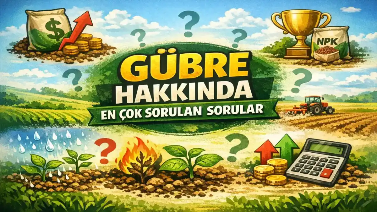 Gübre Hakkında En Çok Sorulan Sorular: Fiyat, Verim ve Doğru Kullanım