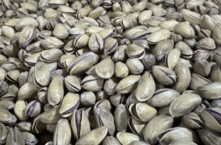 Güneydoğu Anadolu'dan 6 Ayda 174 Milyon Dolarlık Kuru Meyve İhracatı: En Çok Gelir Antep Fıstığından